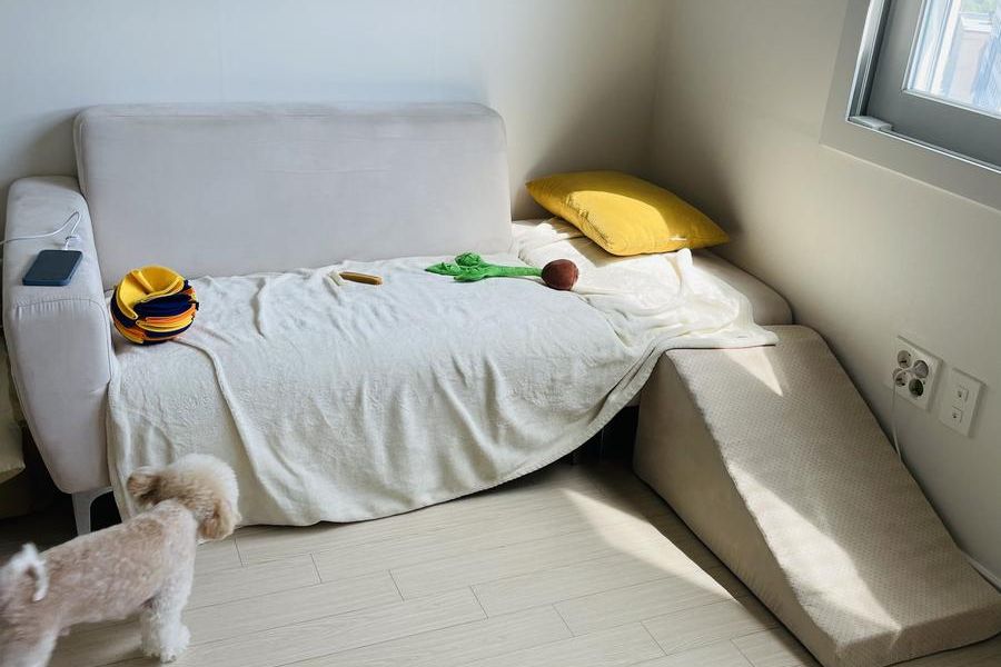 오산시 현장 상태 기록