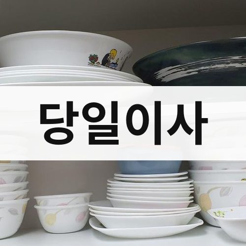 파주시 당일이사 포장이사
